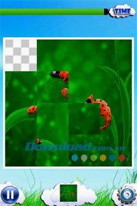 Cute Puzzle