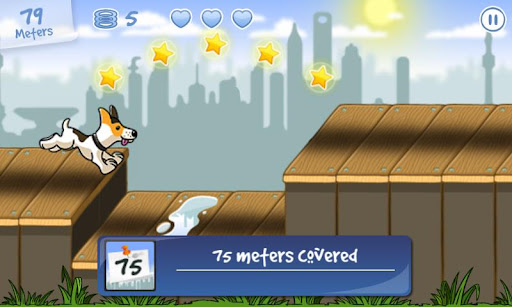 Agility City