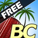 Beach Criket