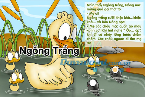Truyện của bé Lite