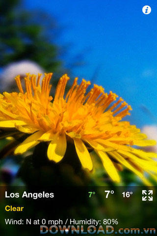 Weather Motion Free