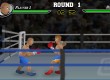 Đấm bốc knock out