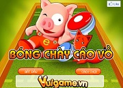 Bóng chày cáo vồ