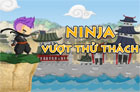 Ninja vượt thử thách