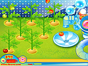 Sue Tomato Factory