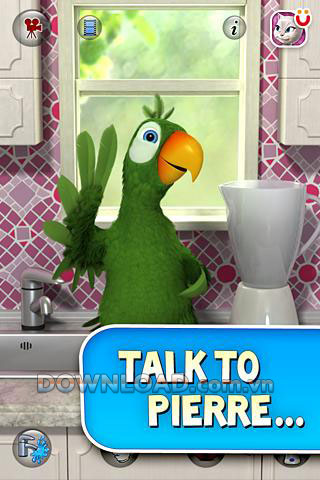 Talking Pierre the Parrot