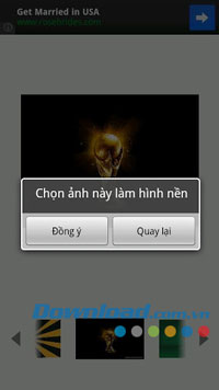 Hình nền Logo