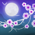 Blooming Night Live Wallpaper
