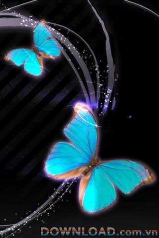 Top Butterfly Wallpaper