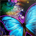 Top Butterfly Wallpaper