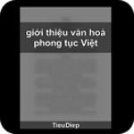 Văn hoá phong tục Việt