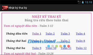 Nhật ký thai kỳ