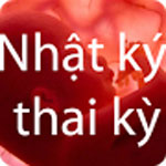 Nhật ký thai kỳ