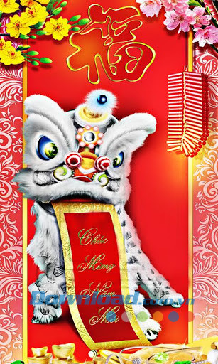 Phao tet