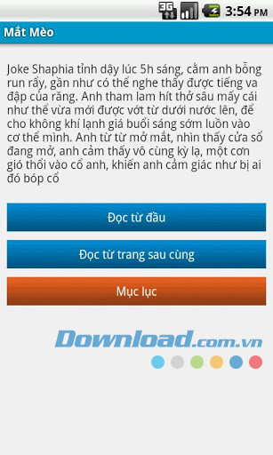 Mắt mèo
