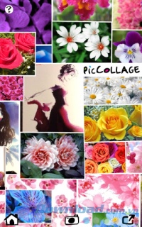 Pic Collage