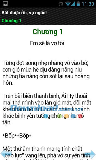 Bắt được rồi, vợ ngốc!
